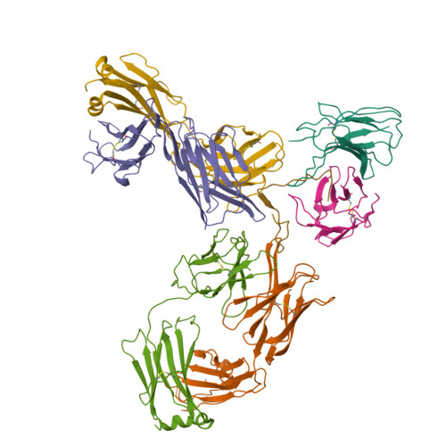 Mowl Capsuloid カプセロイド 9月21日20時発売】CAPSULOID | 日本のメーカー,mowl