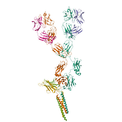 RCSB PDB - 8EMA: Mouse Full Length B Cell Receptor