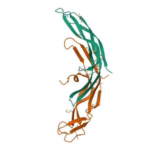 RCSB PDB - 8END: Crystal structure of LGR ligand alpha2/beta5 from C ...