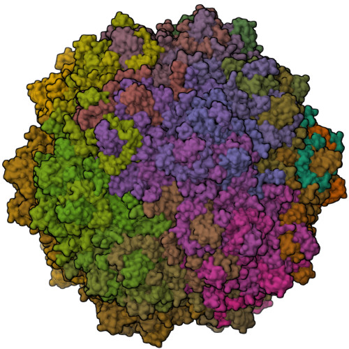 RCSB PDB 8EP2 The capsid structure of Aleutian Mink Disease Virus