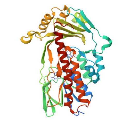 RCSB PDB - 8ER1: X-ray crystal structure of Tet(X6)