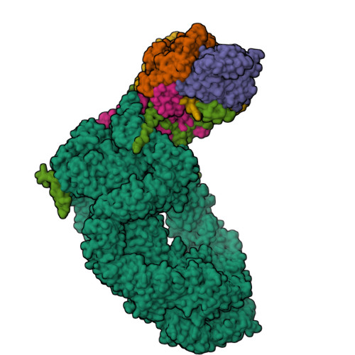 RCSB PDB - 8ESC: Structure Of The Yeast NuA4 Histone Acetyltransferase ...