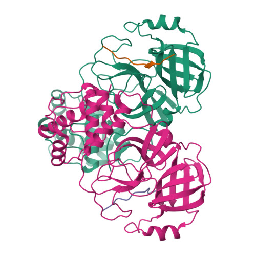 Rcsb Pdb Ey Cryo Em Structure Of Sars Cov Main Protease C S In Complex With N Terminal