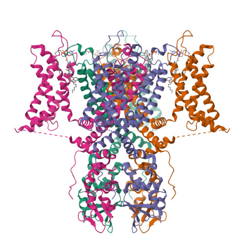 RCSB PDB - 8F1C: Voltage-gated potassium channel Kv3.1 with novel