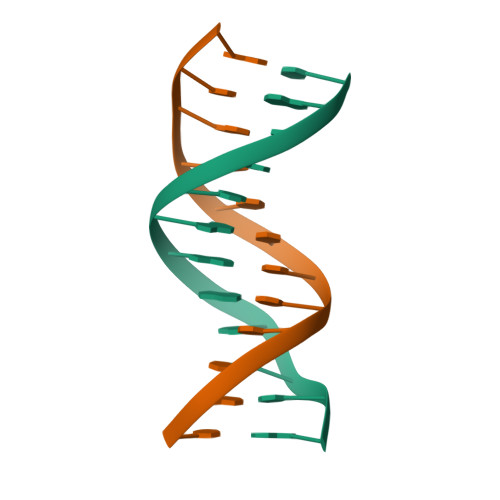 RCSB PDB - 8F20: Structure of an A-tract B-DNA Dodecamer: 5'-CGCAAAAAAGCG-3