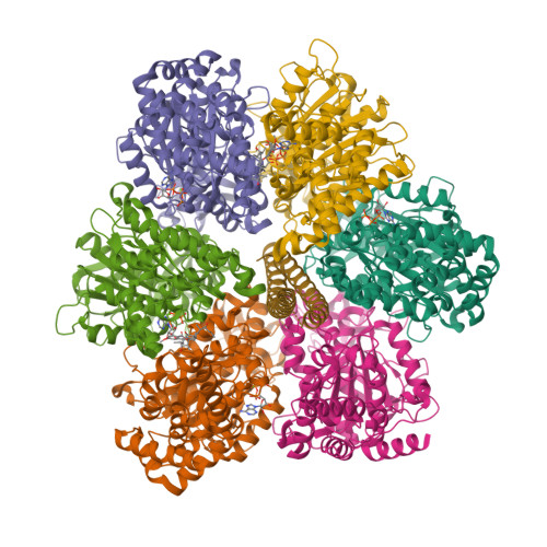 RCSB PDB - 8F2K: Structure of yeast F1-ATPase determined with 100 ...