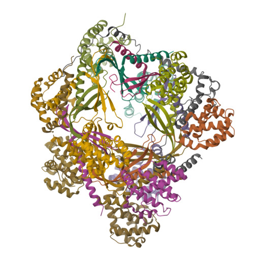 RCSB PDB - 8F2U: Human CCC Complex