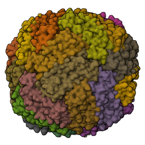 RCSB PDB - 8F49: 1.8 angstrom structure of apoferritin embedded in ...