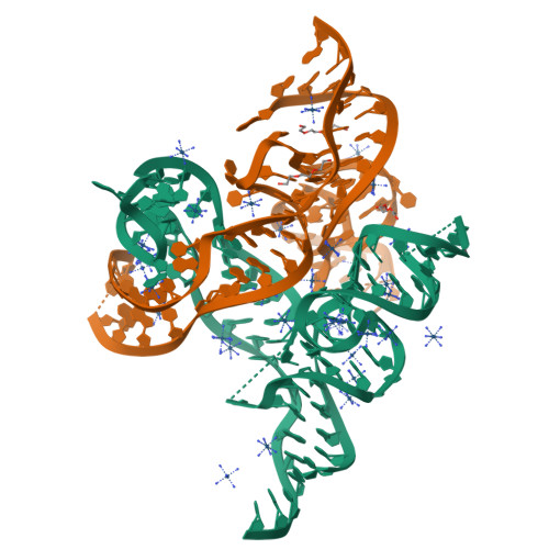 RCSB PDB - 8F4O: Apo structure of the TPP riboswitch aptamer domain