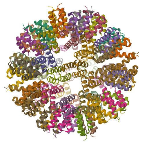 RCSB PDB - 8F53: Top-down Design Of Protein Architectures With ...