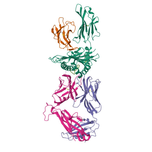 RCSB PDB - 8F5A: Crystal Structure of KS1 TCR in complex with HLA-B*57: ...