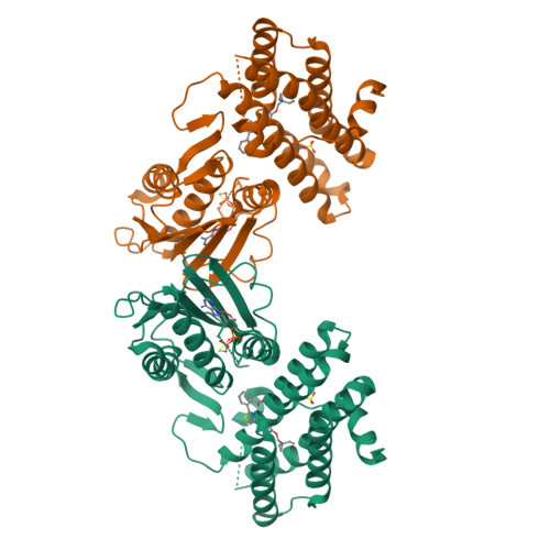 RCSB PDB - 8F5F: human branched chain ketoacid dehydrogenase