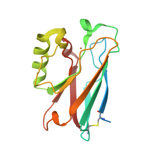 RCSB PDB - 8F5K: Azurin from Pseudomonas aeruginosa, Y72F/Y108F 
