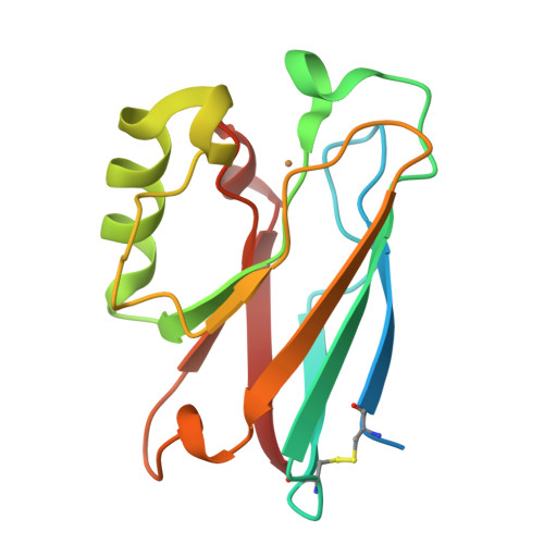 RCSB PDB - 8F5K: Azurin from Pseudomonas aeruginosa, Y72F/Y108F 