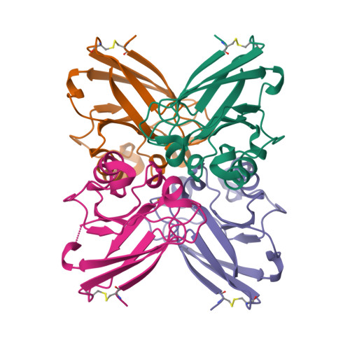 RCSB PDB - 8F5K: Azurin from Pseudomonas aeruginosa, Y72F/Y108F 