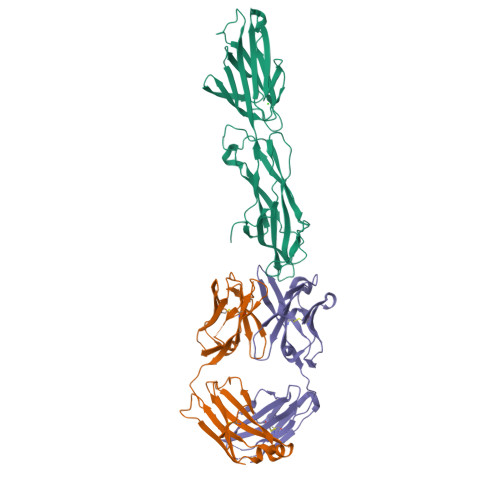 RCSB PDB 8F5N Identification of an Immunodominant region on a Group