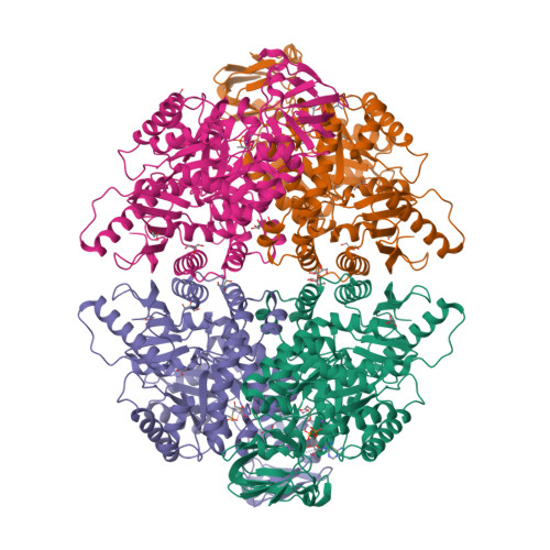 RCSB PDB - 8F6M: Complex Of Rabbit Muscle Pyruvate Kinase With ADP And ...