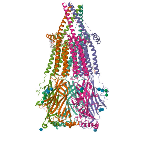 RCSB PDB - 8F6Z: Cryo-EM structure of Torpedo nicotinic acetylcholine ...