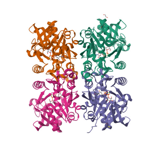 RCSB PDB - 8F73: Crystal Structure Of Pseudomonas Aeruginosa UDP ...