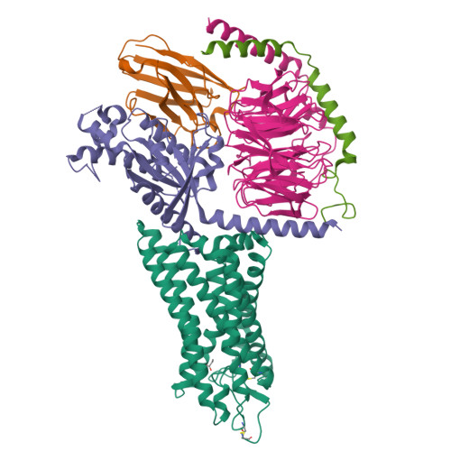 Rcsb Pdb F Human Olfactory Receptor Or E Bound To Propionate In