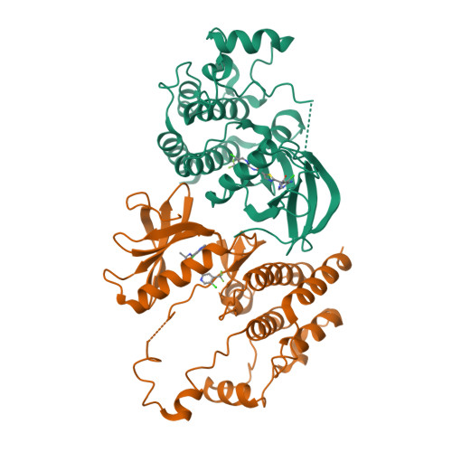 Draw a Crowd プロモ RF 2枚 FaB 0420 RCSB PDB - 8F7O: BRAF kinase in complex with TAK580