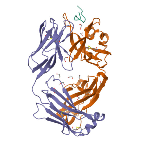 RCSB PDB - 8F9U: Crystal structure of Ky15.7 Fab in complex with ...