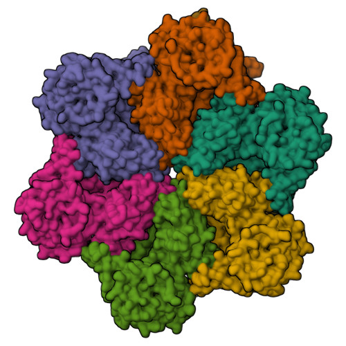 RCSB PDB - 8FCT: Cryo-EM structure of p97:UBXD1 lariat mutant