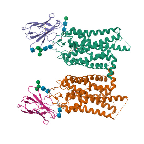 RCSB PDB - 8FD1: Crystal structure of photoactivated rhodopsin in ...
