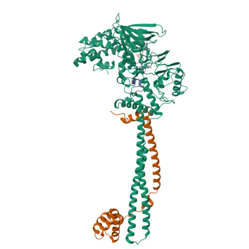 RCSB PDB - 8FDV: LSD1-CoREST in complex N-formyl FAD and SNAG peptide