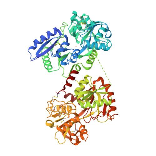 RCSB PDB - 8FEI: CryoEM structure of Conalbumin from chicken egg white ...