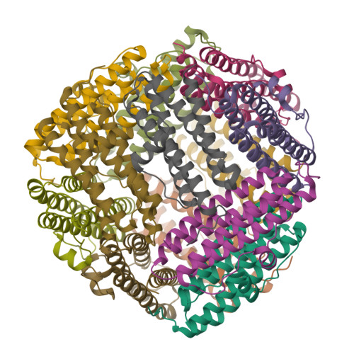 RCSB PDB - 8FFA: Crystal structure of Apo Dps protein (PA0962) from ...