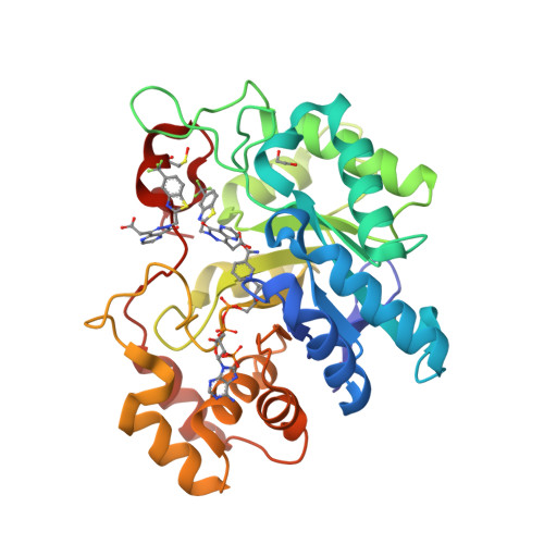 RCSB PDB - 8FH6: Crystal Structure Of Aldose Reductase (AKR1B1 ...