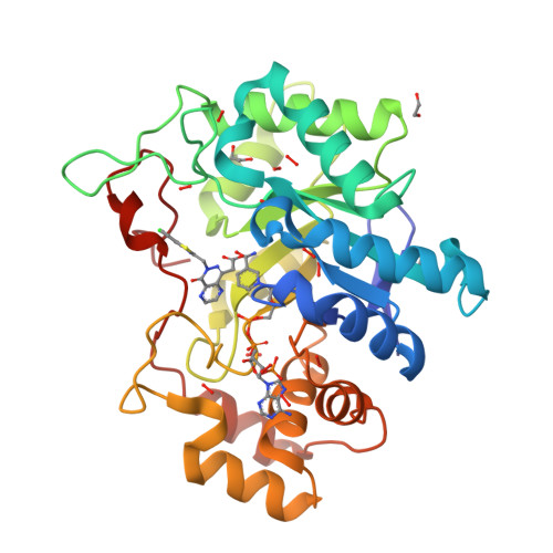 RCSB PDB - 8FH8: Crystal Structure Of Aldose Reductase (AKR1B1 ...