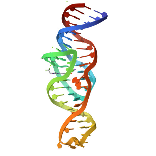 RCSB PDB - 8FHX: Structure of Lettuce aptamer bound to DFHBI-1T