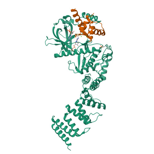 RCSB PDB - 8FNY: Nucleotide-bound Structure Of A Functional Construct ...