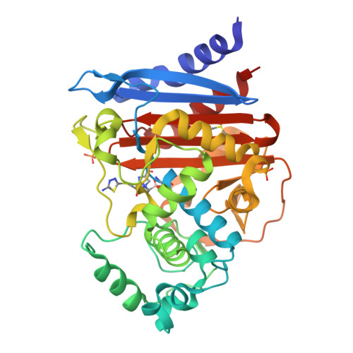 RCSB PDB - 8FQW: ADC-30 in complex with boronic acid transition 