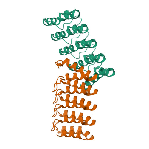 RCSB PDB - 8FRF: Homodimeric designed loop protein RBL7_C2_3