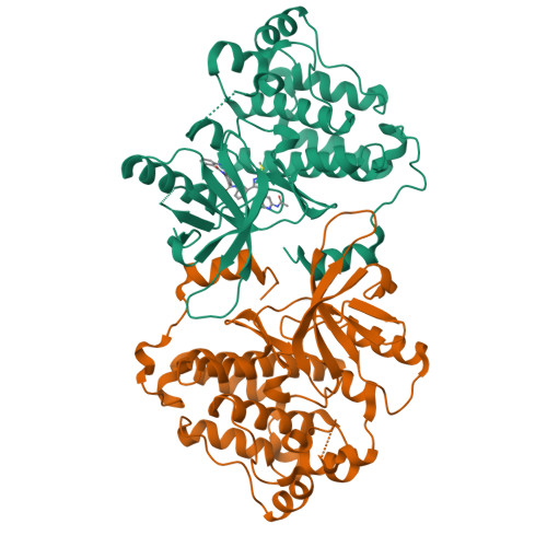 RCSB PDB - 8FV4: EGFR(T790M/V948R) in complex with compound 2 (LN5993)