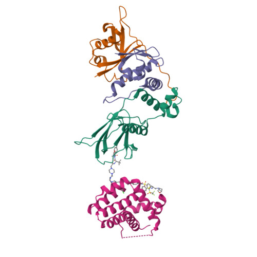 Vcb Protac RCSB PDB - 8FY2: E3:PROTAC:target ternary complex structure (VCB/WH244 ...