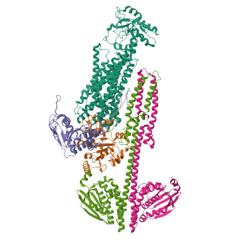 RCSB PDB - 8G3B: BceAB-S Nucleotide Free TM State 2