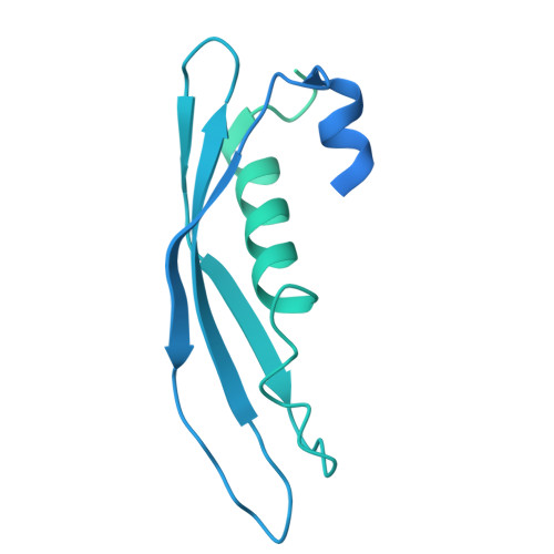 RCSB PDB 8G3G CryoEM structure of yeast mediator Rad52