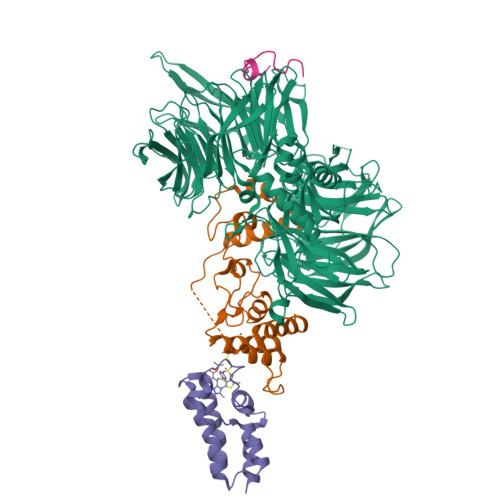 PDB 8G46