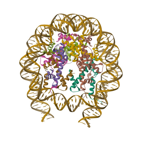 RCSB PDB - 8G6H: H2BK120ub+H3K79me2-modified nucleosome ubiquitin ...