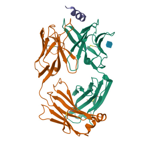 Heloxy Mod8 Structure RCSB PDB - 8G8A: Crystal structure of DH1317.8 Fab in complex with HIV ...