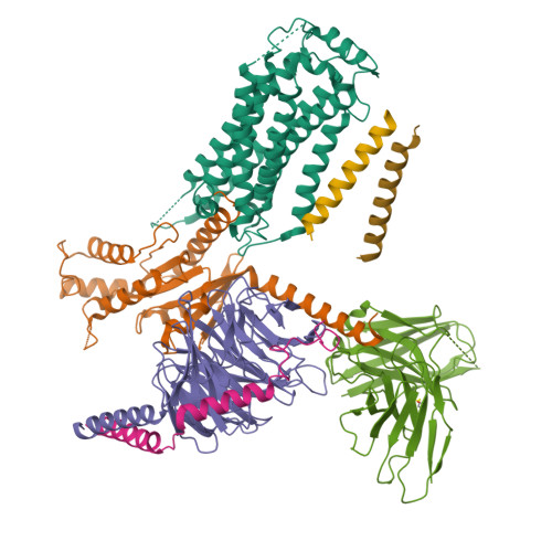 RCSB PDB - 8G94: Structure Of CD69-bound S1PR1 Coupled To Heterotrimeric Gi