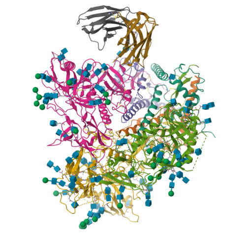 RCSB PDB - 8G9W: Cryo-EM Structure Of VFP49.02 Fab In Complex With HIV ...