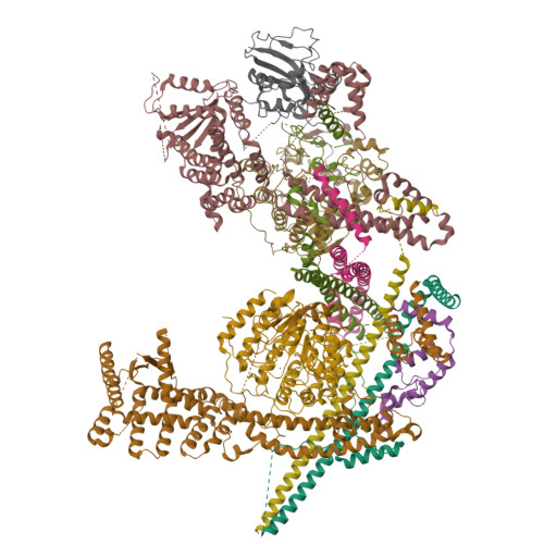 RCSB PDB - 8GA8: Structure of the yeast (HDAC) Rpd3L complex