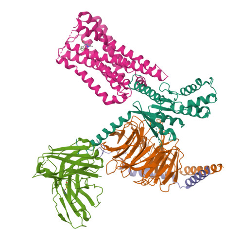 RCSB PDB 8GAG Cannabinoid Receptor 1 Gi Complex With Novel Ligand