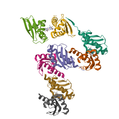 RCSB PDB - 8GBK: Dri1 hemoprotein variant H79A-R90A with a zinc-mirror ...