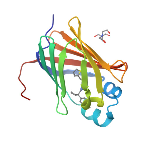 RCSB PDB - 8GD2: Crystal structure of human cellular retinol binding ...
